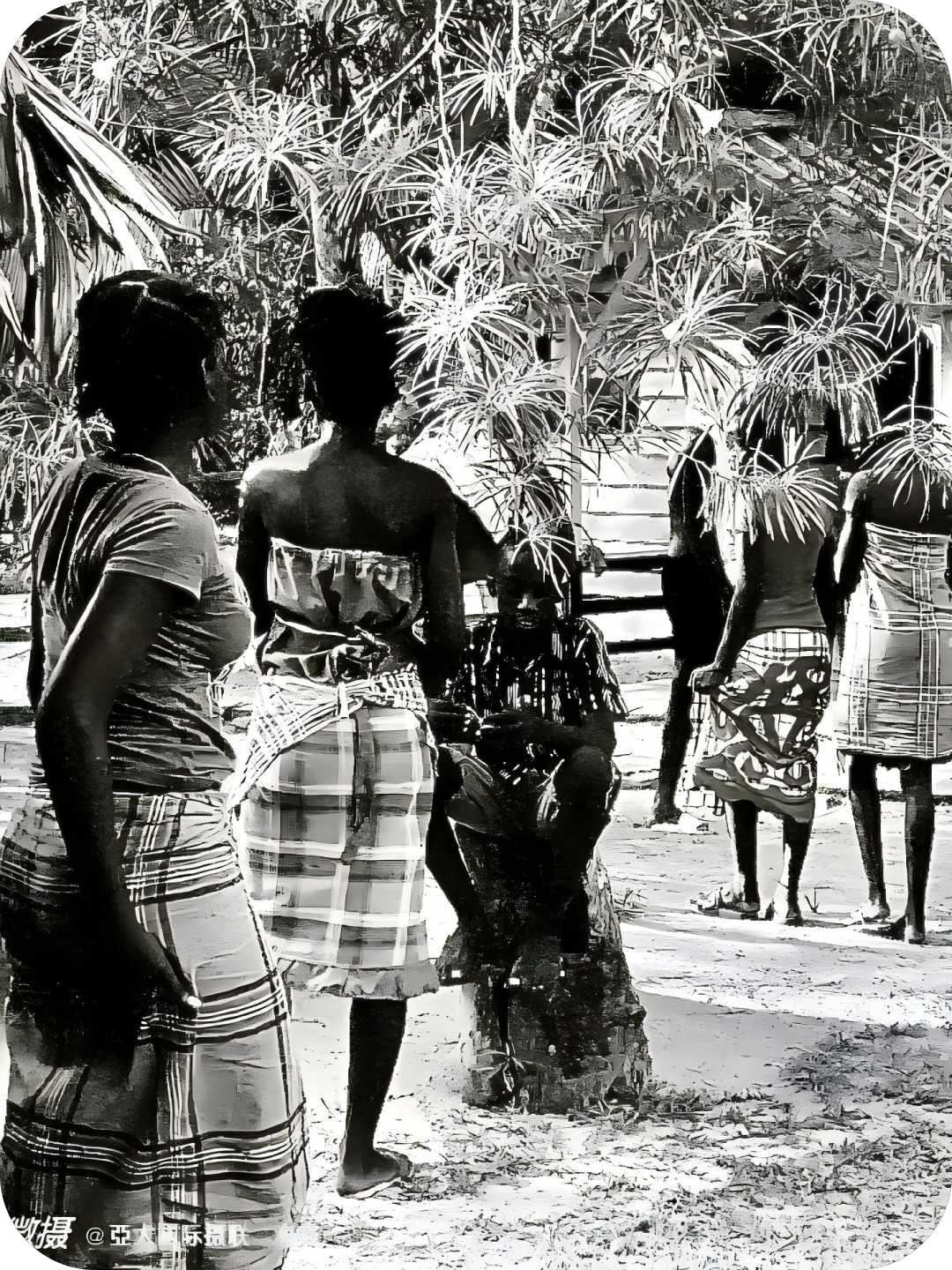 走进南美（海霞摄）