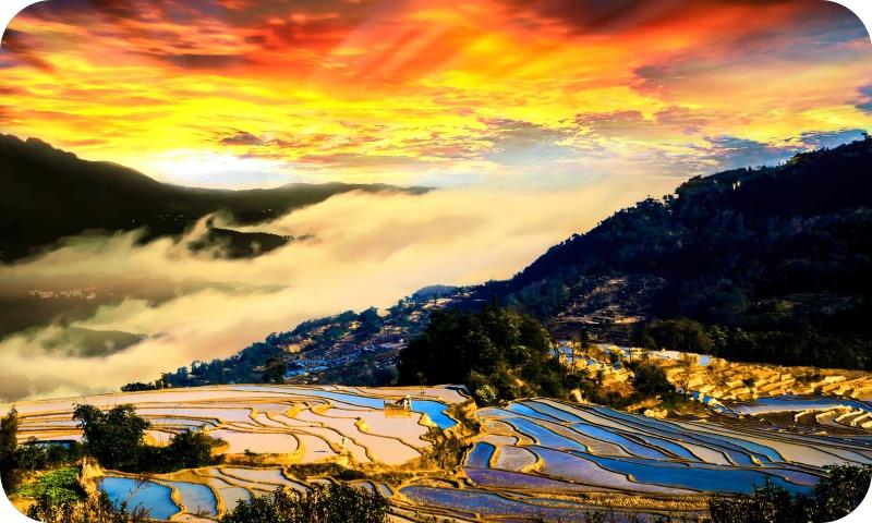 梯田如画（海霞摄）