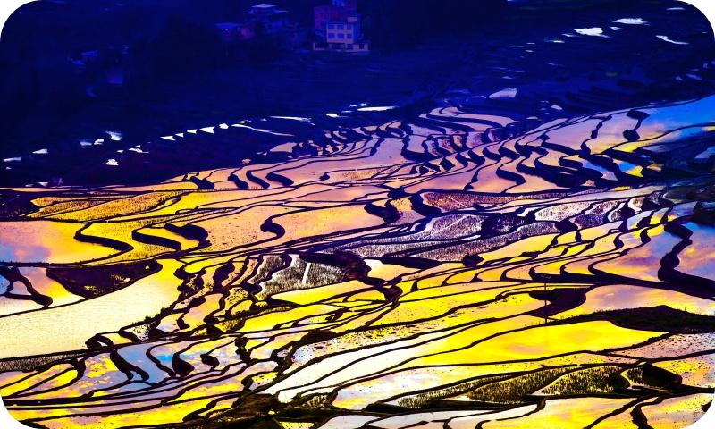 梯田如画（海霞摄）