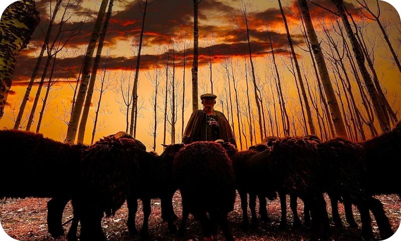 走进大凉山（海霞摄）