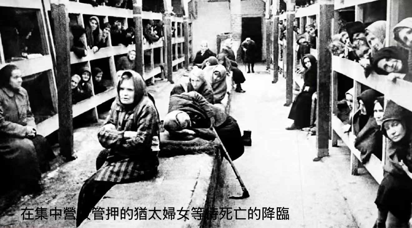 纪念世界反法西斯战争胜利八十周年