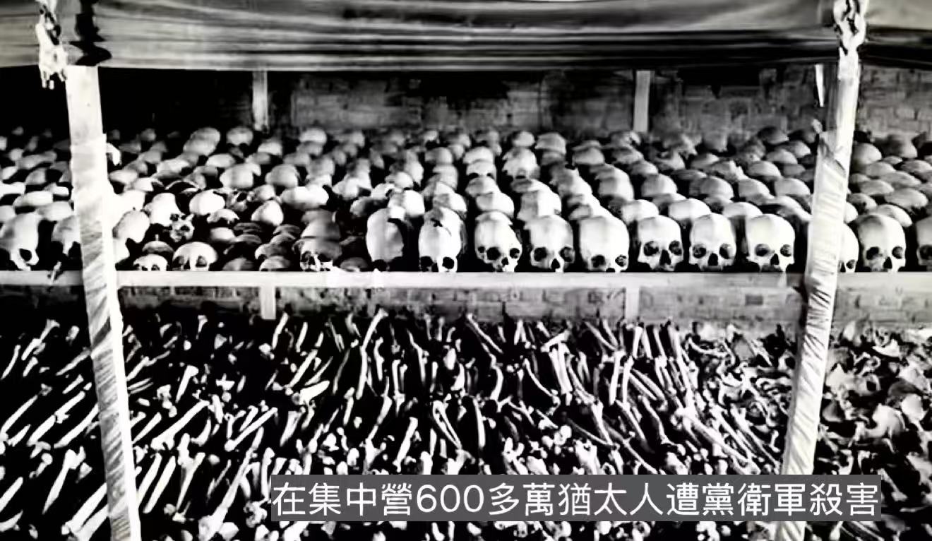 纪念世界反法西斯战争胜利八十周年