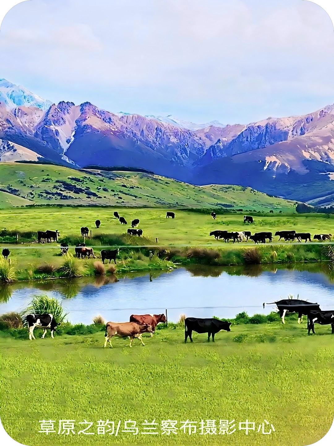 草原之韵