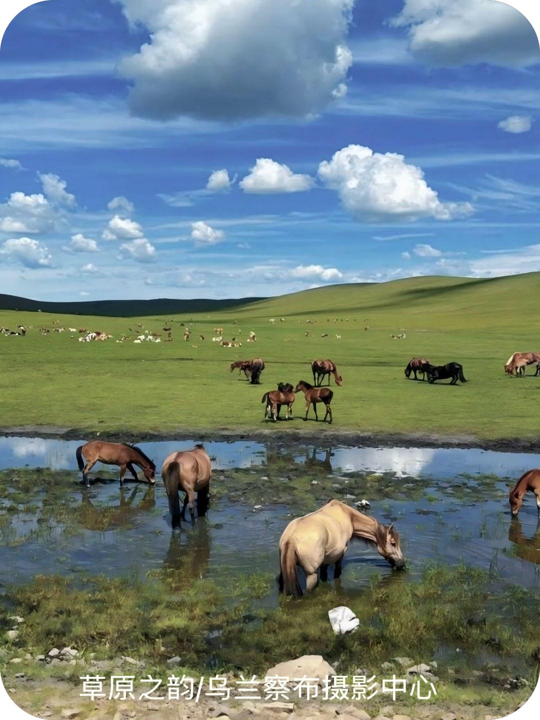 草原之韵