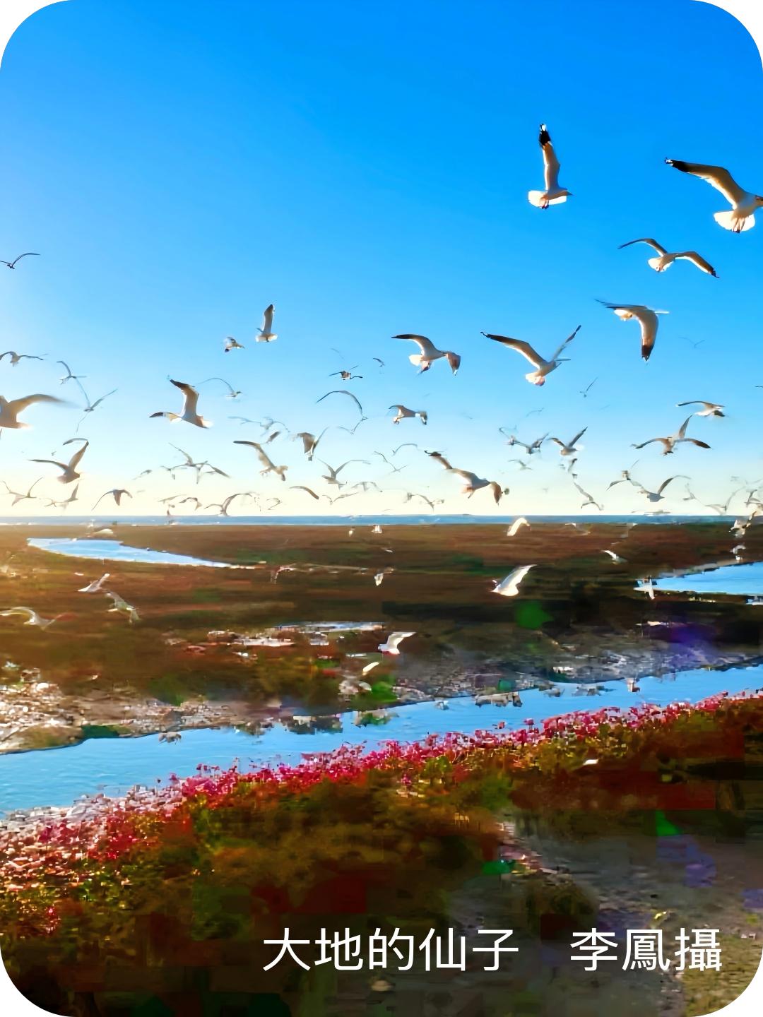 著名摄影家李凤作品系列