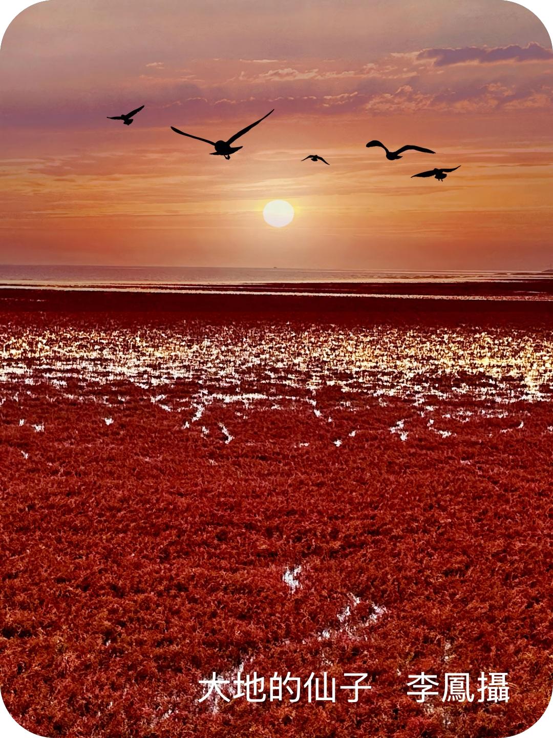 著名摄影家李凤作品系列