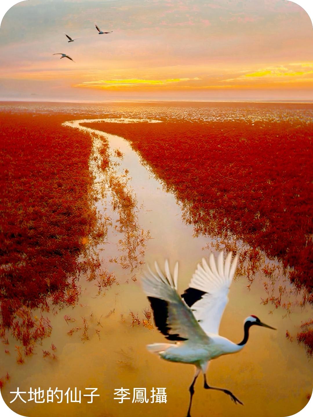 著名摄影家李凤作品系列