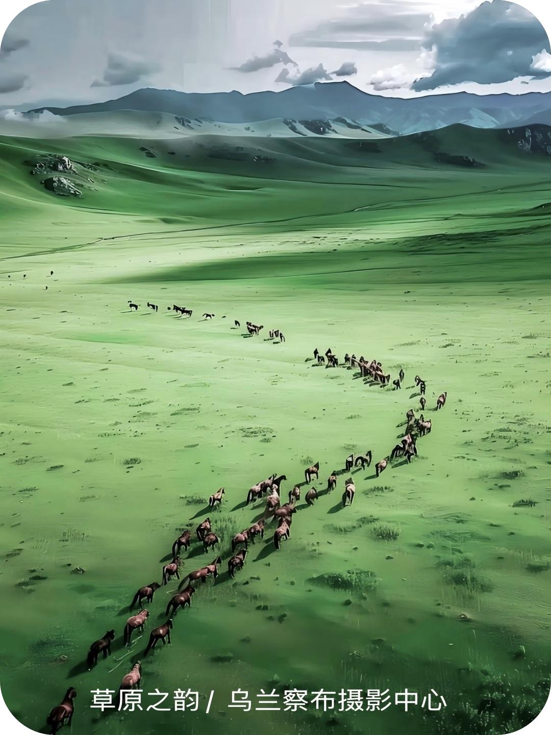 草原之韵