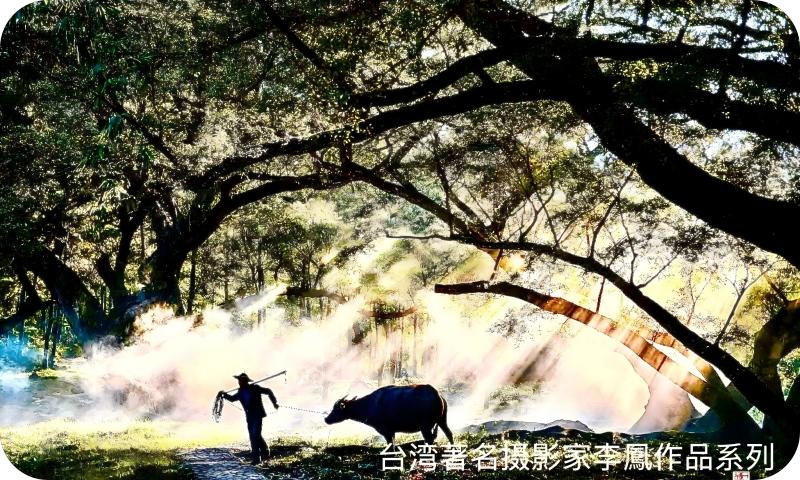 著名摄影家李凤作品系列