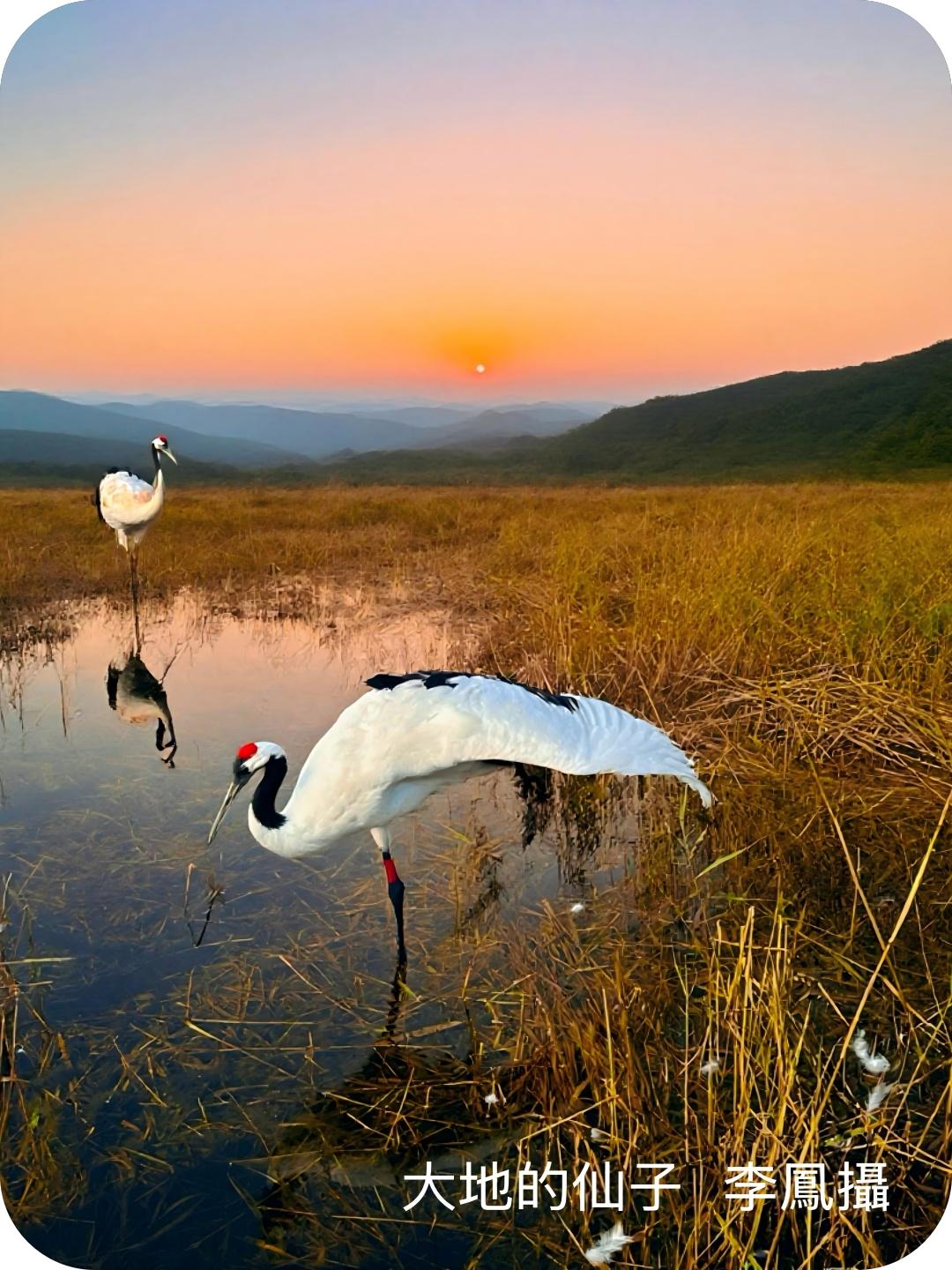 著名摄影家李凤作品系列