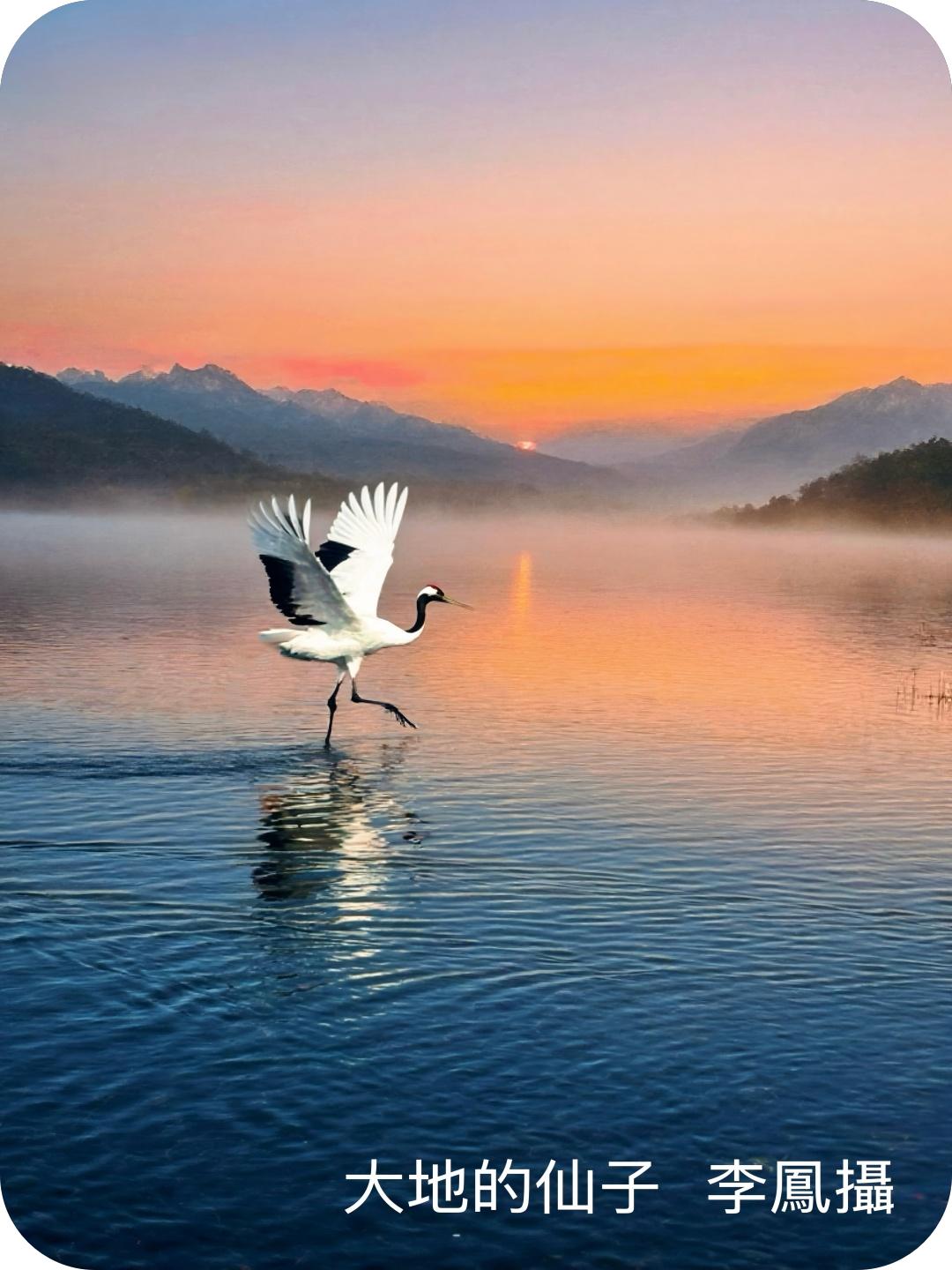 著名摄影家李凤作品系列