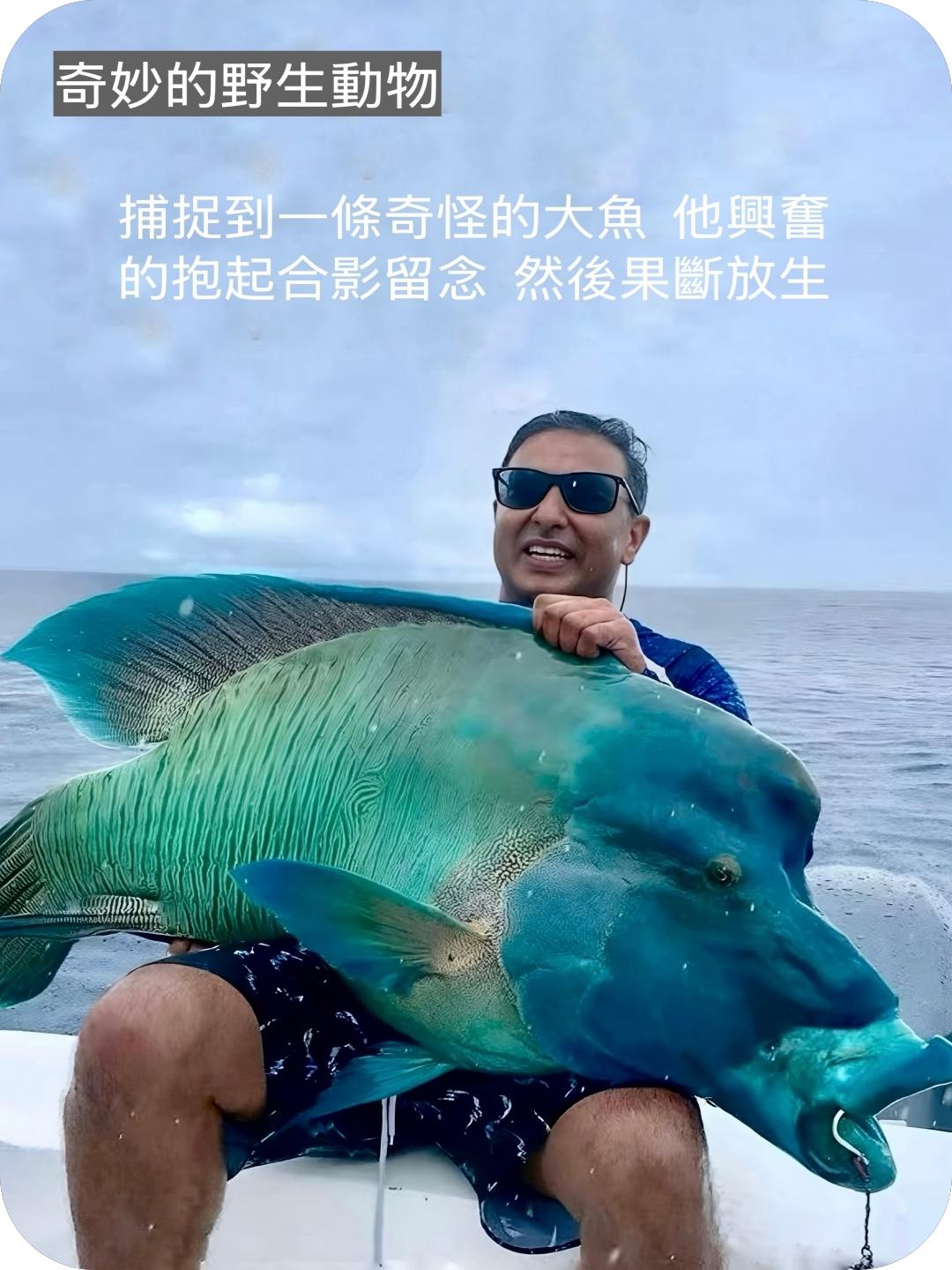 奇妙的野生动物