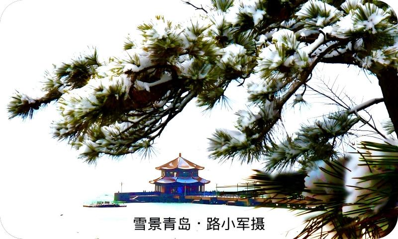 雪景青岛 （路小军摄）