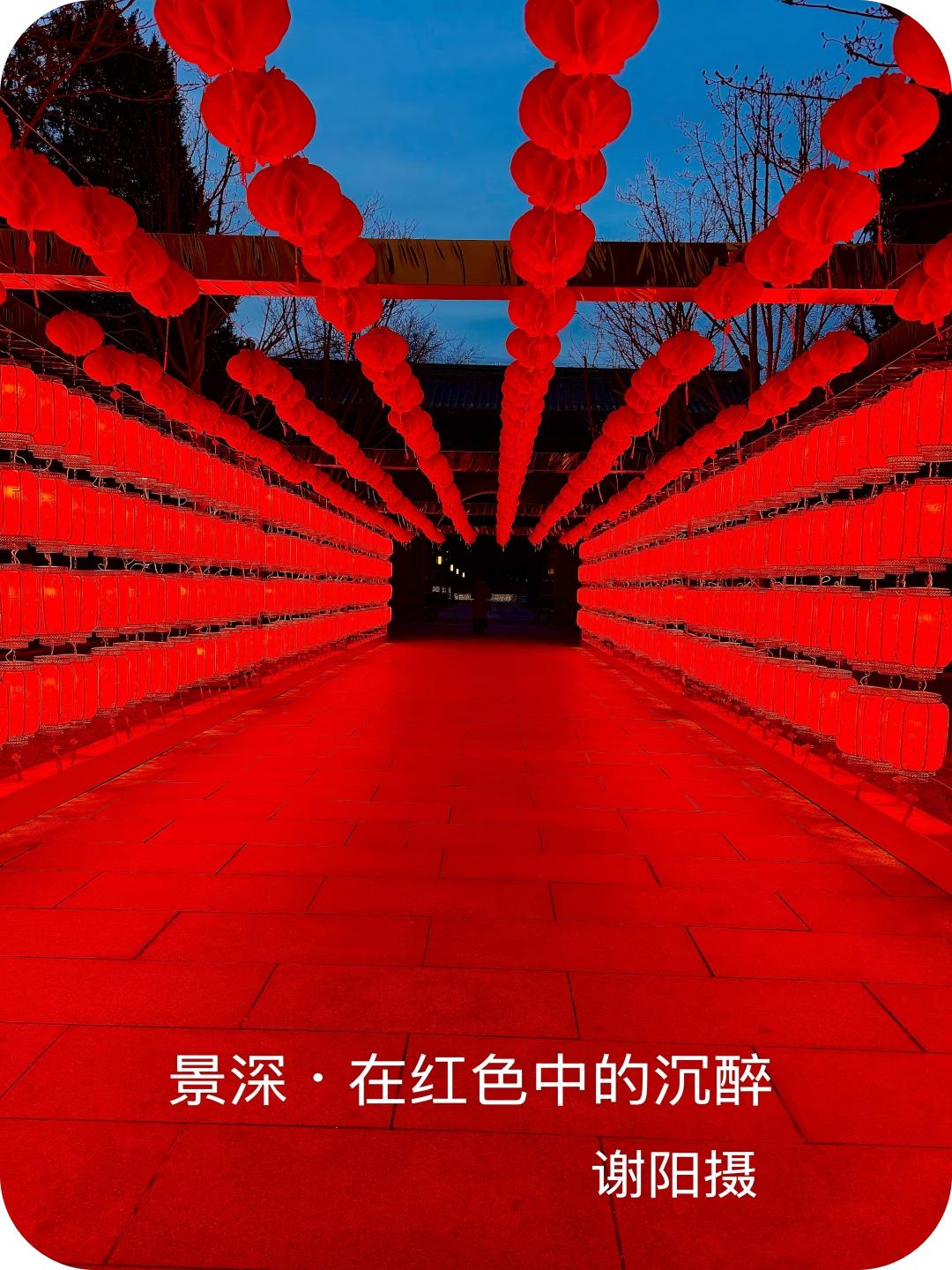 春节序曲（谢阳摄）