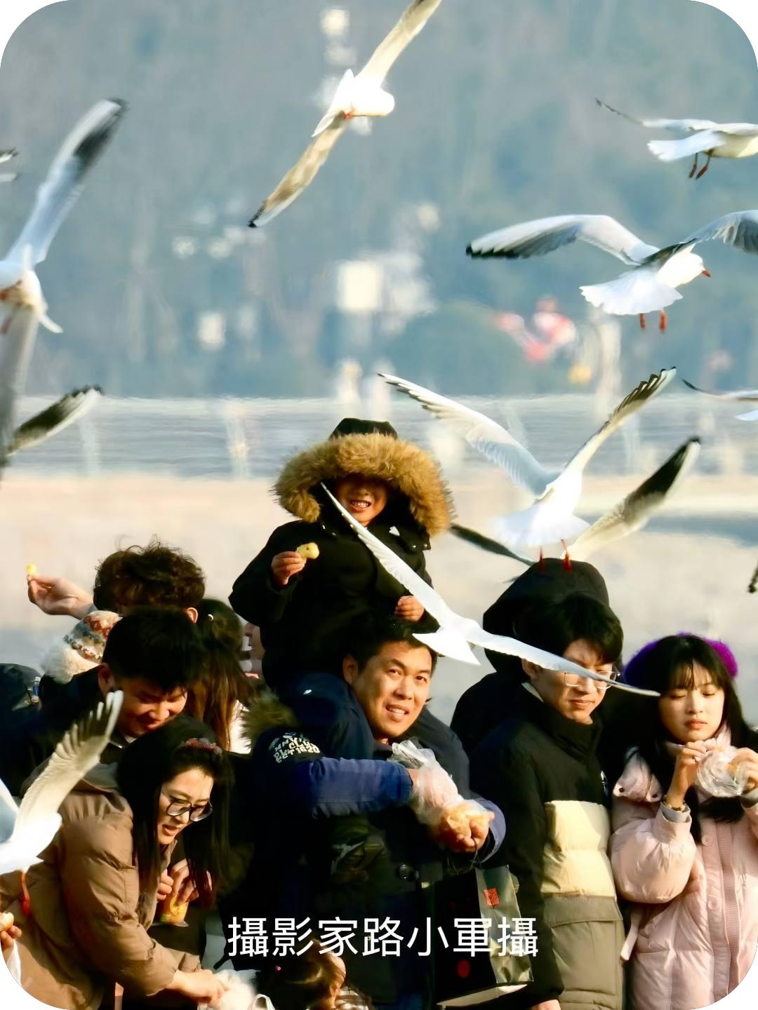 海滨迎新春（路小军摄）