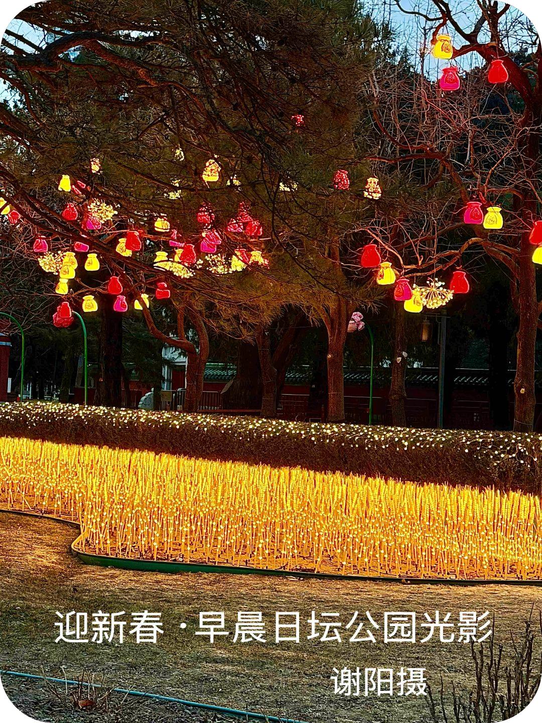 春节序曲（谢阳摄）