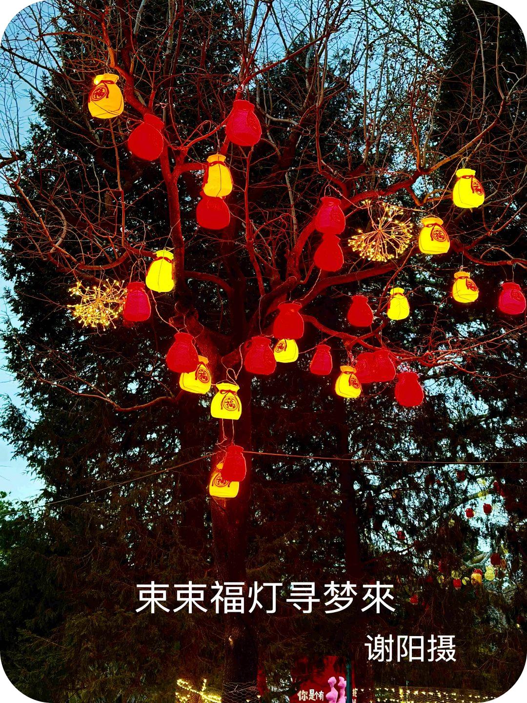 春节序曲（谢阳摄）