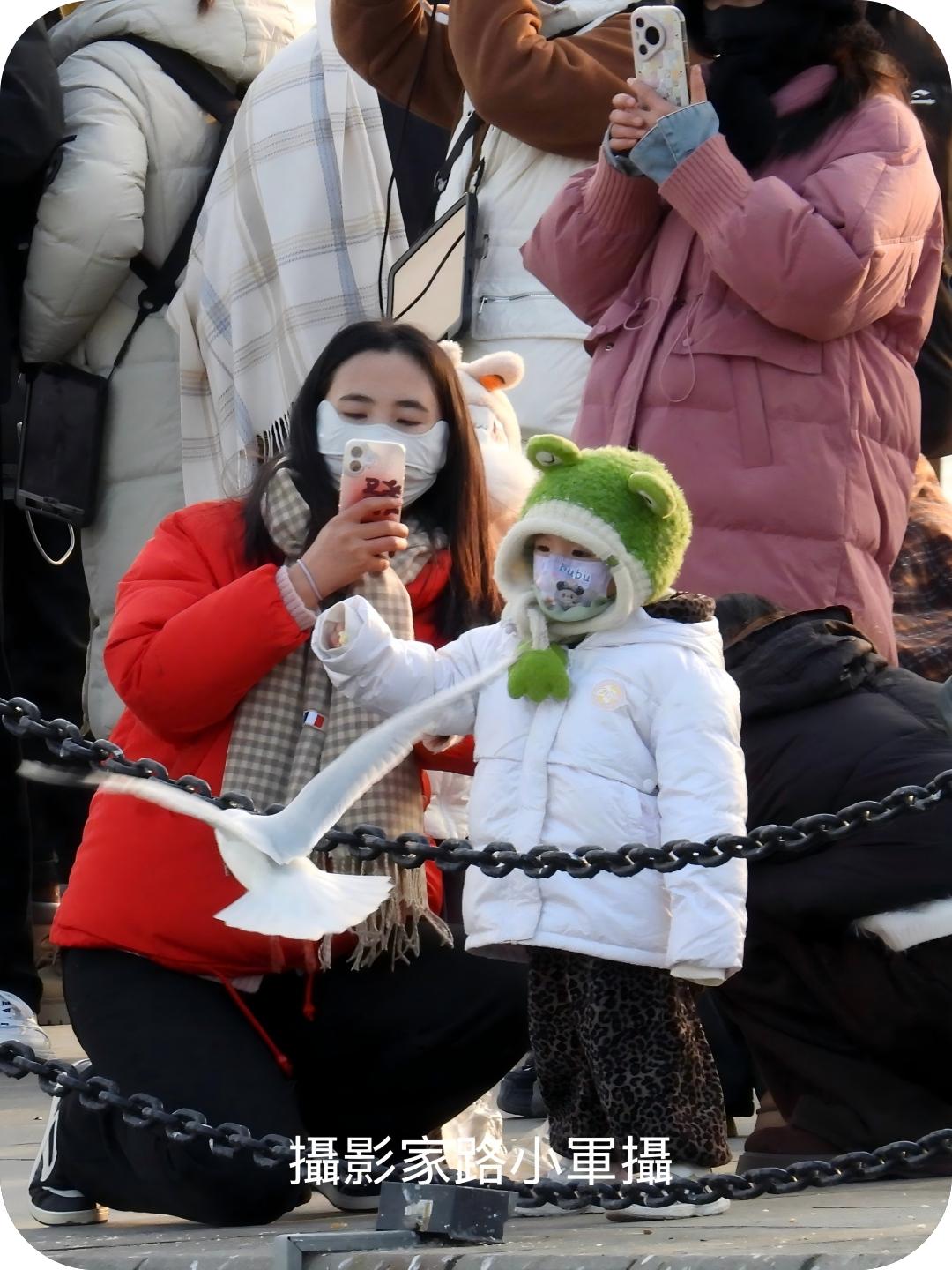 海滨迎新春（路小军摄）