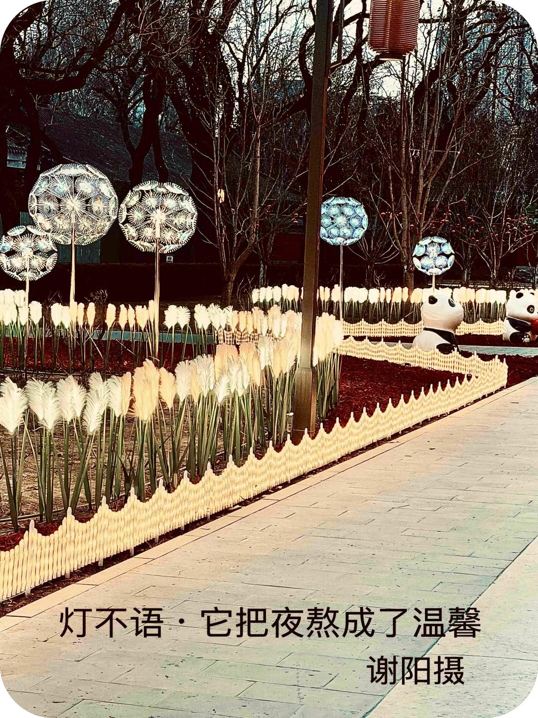 春节序曲（谢阳摄）