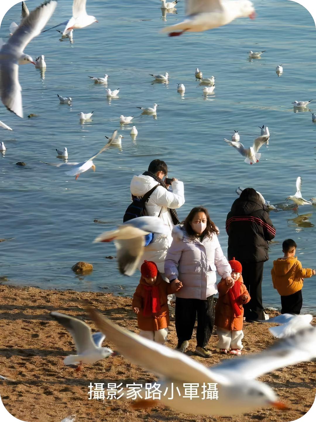 海滨迎新春（路小军摄）