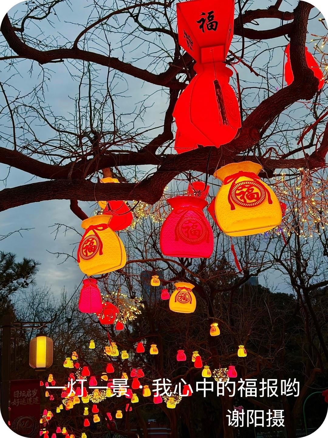 春节序曲（谢阳摄）