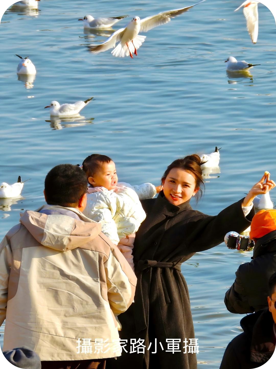 海滨迎新春（路小军摄）