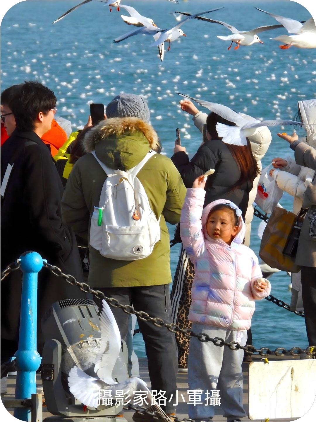 海滨迎新春（路小军摄）