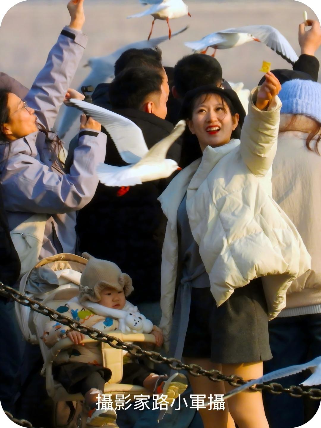 海滨迎新春（路小军摄）