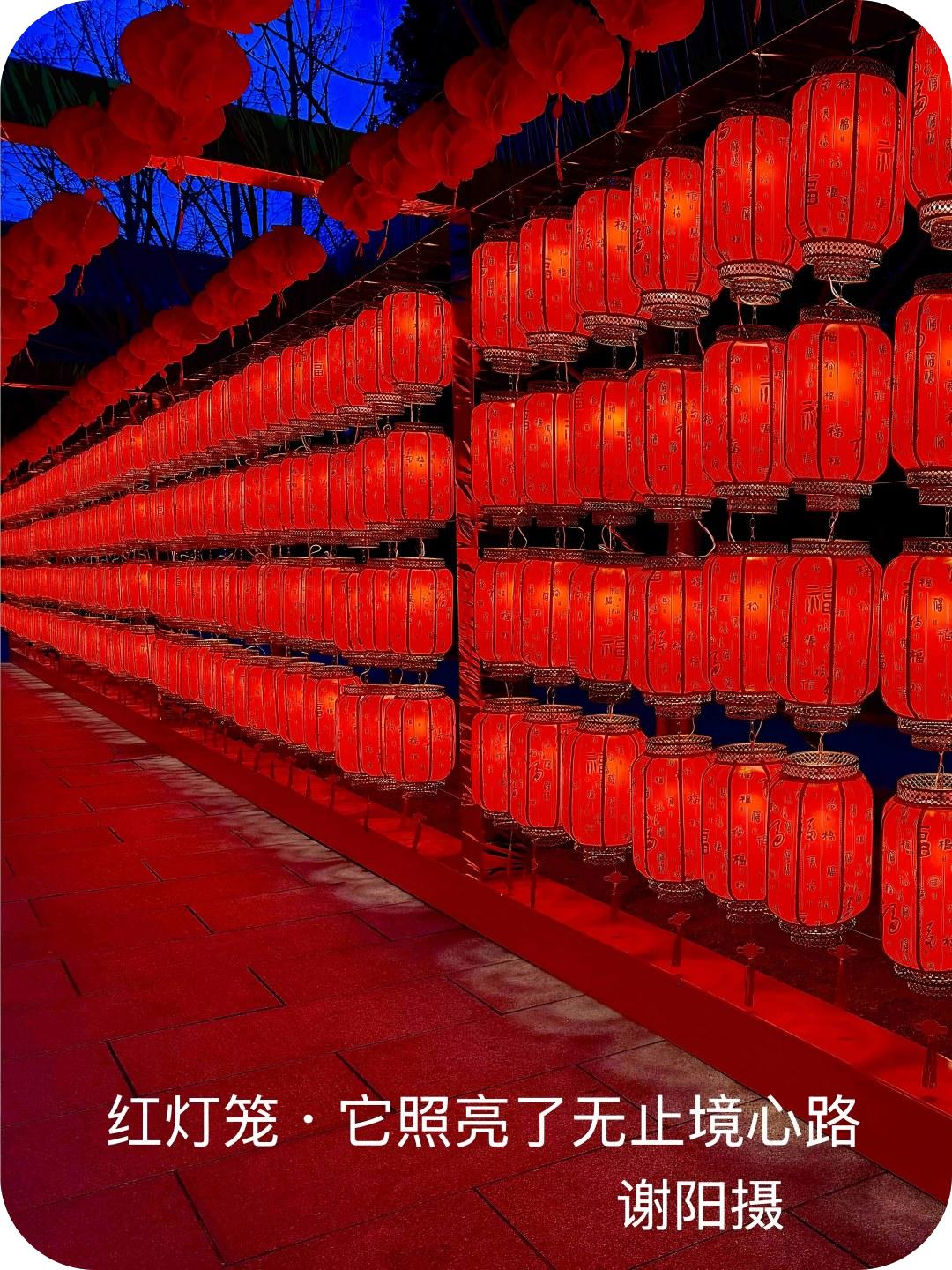 春节序曲（谢阳摄）