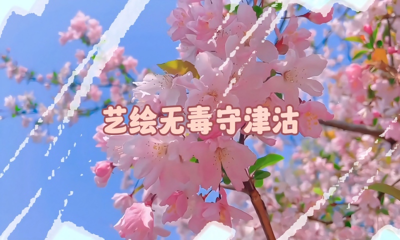 艺绘无毒守津沽