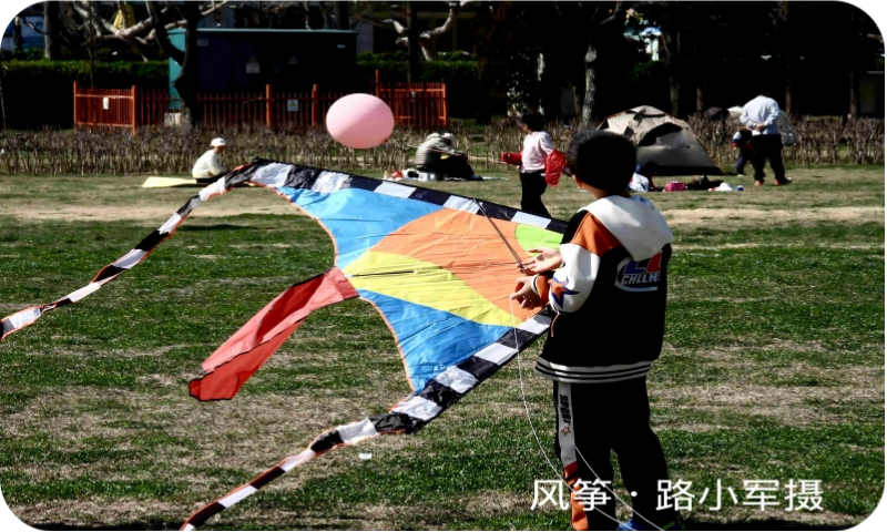 风筝（路小军摄）