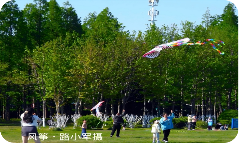 风筝（路小军摄）