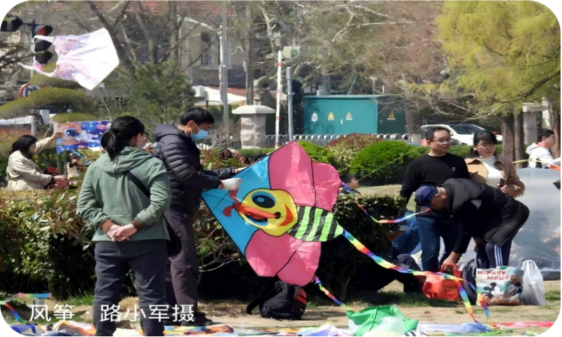 风筝（路小军摄）