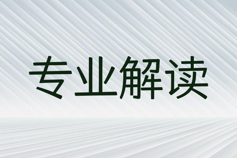 专业解读