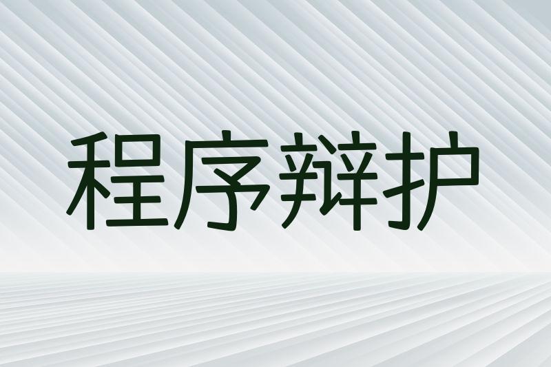 程序辩护