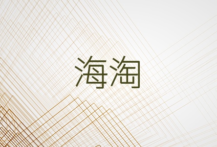 海淘
