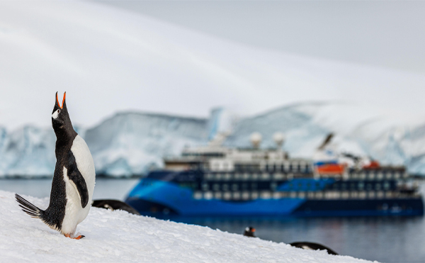 【海洋信天翁号】以探险家视角 征服南北两极