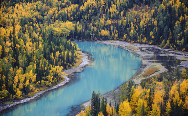 8 Days Experience Fall Foliage in The Altay Region
