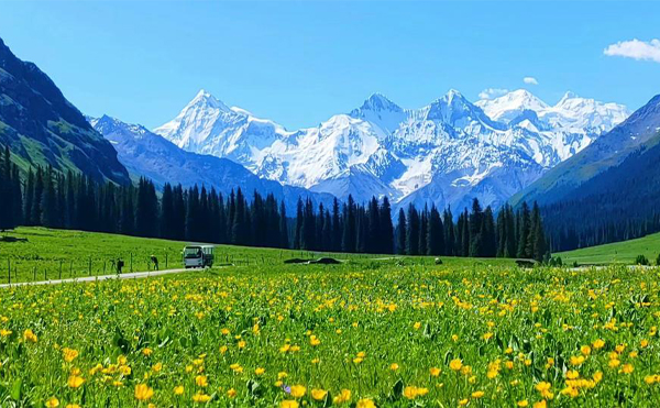 9-Days Northern Xinjiang Tour With Duku Highway