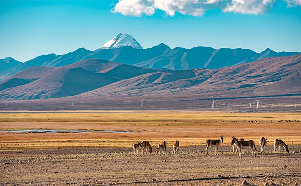 15 Days Kailash Pilgrimage Small Group Tour