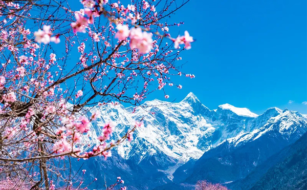 10 days Nyingchi - Pomi - Lhasa - Shigatse-EBC tour（Peach Flower Festival）