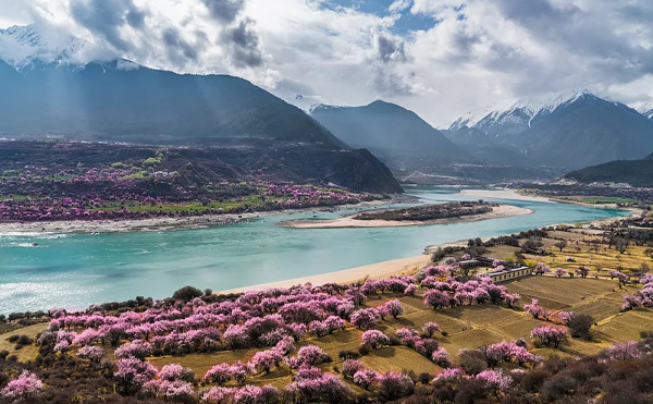 8 days Nyingchi - Pomi - Lhasa - Shigatse tour（Peach Flower Festival ）