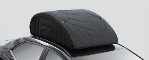 MUFASA(NU2) Car Roof Bag