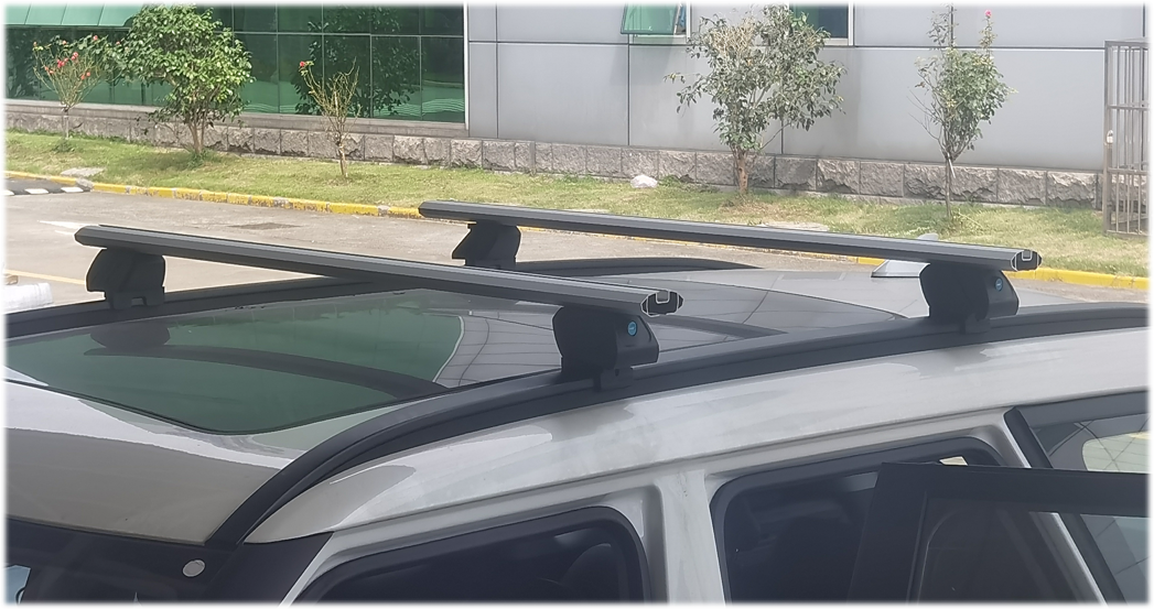 OV1(EV5) Roof Rack