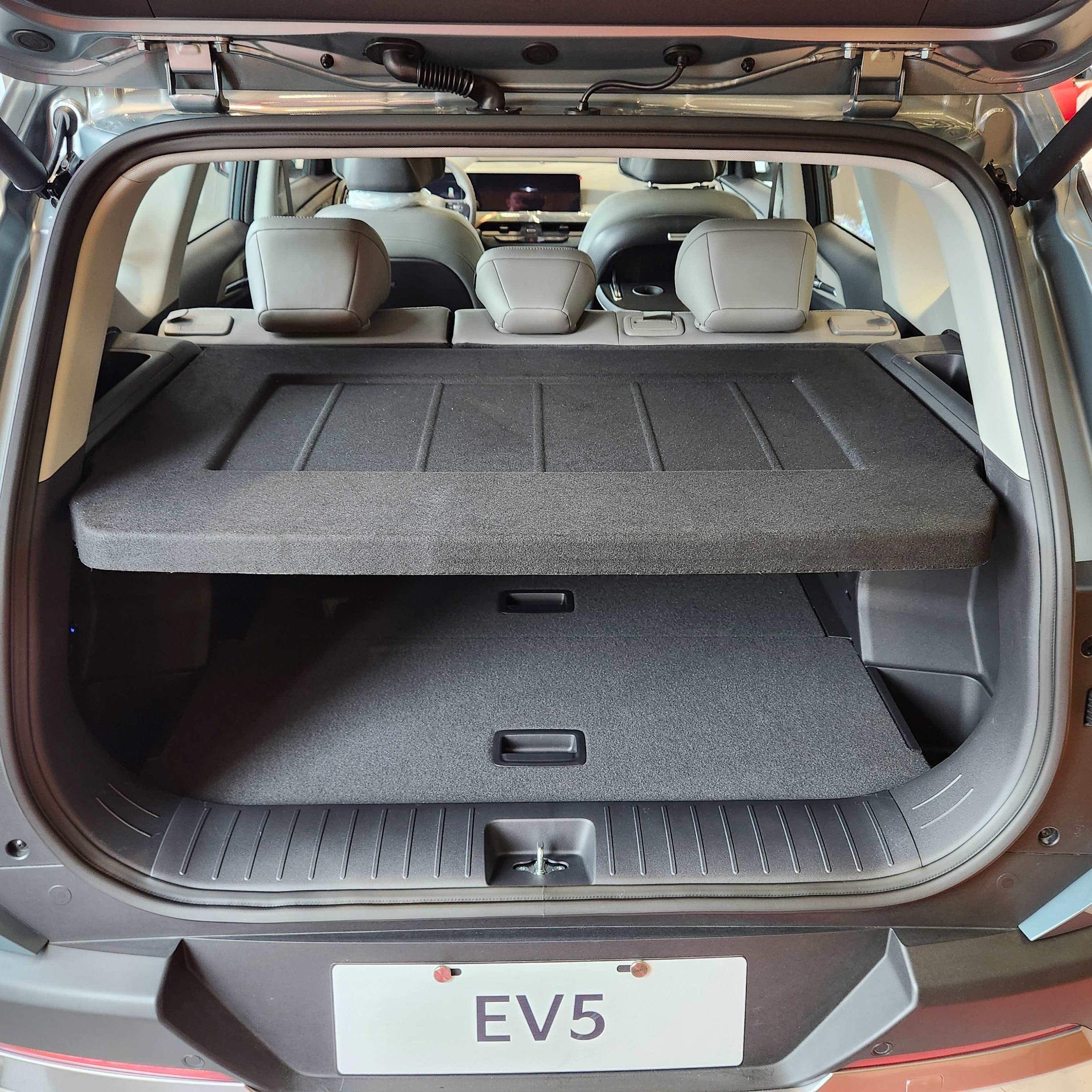 OV1(EV5) Cargo Screen Assy