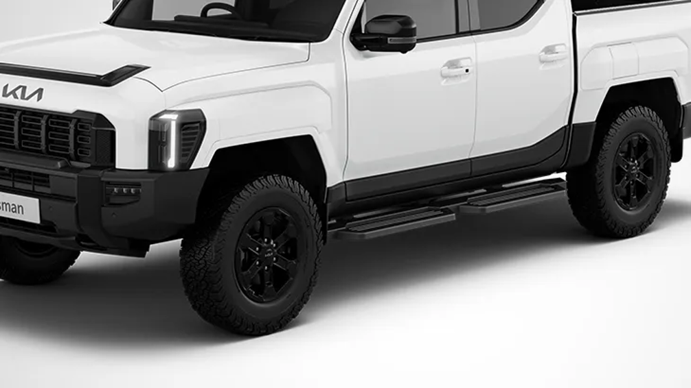 TK(Tasman) Side Steps - Dual Platform