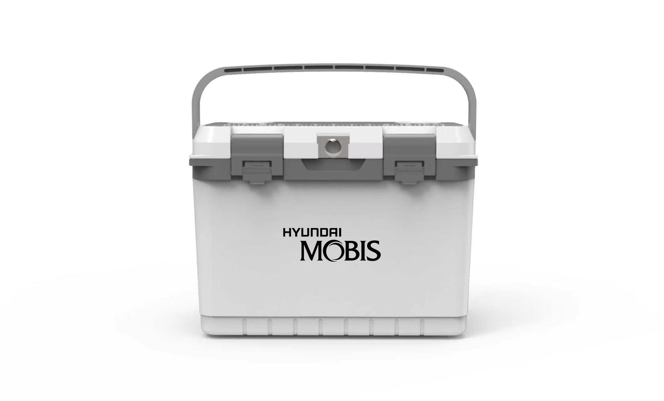 Automotive Cooler Box