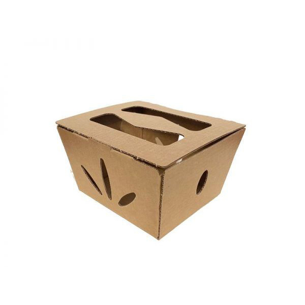 Paper Friut Box
