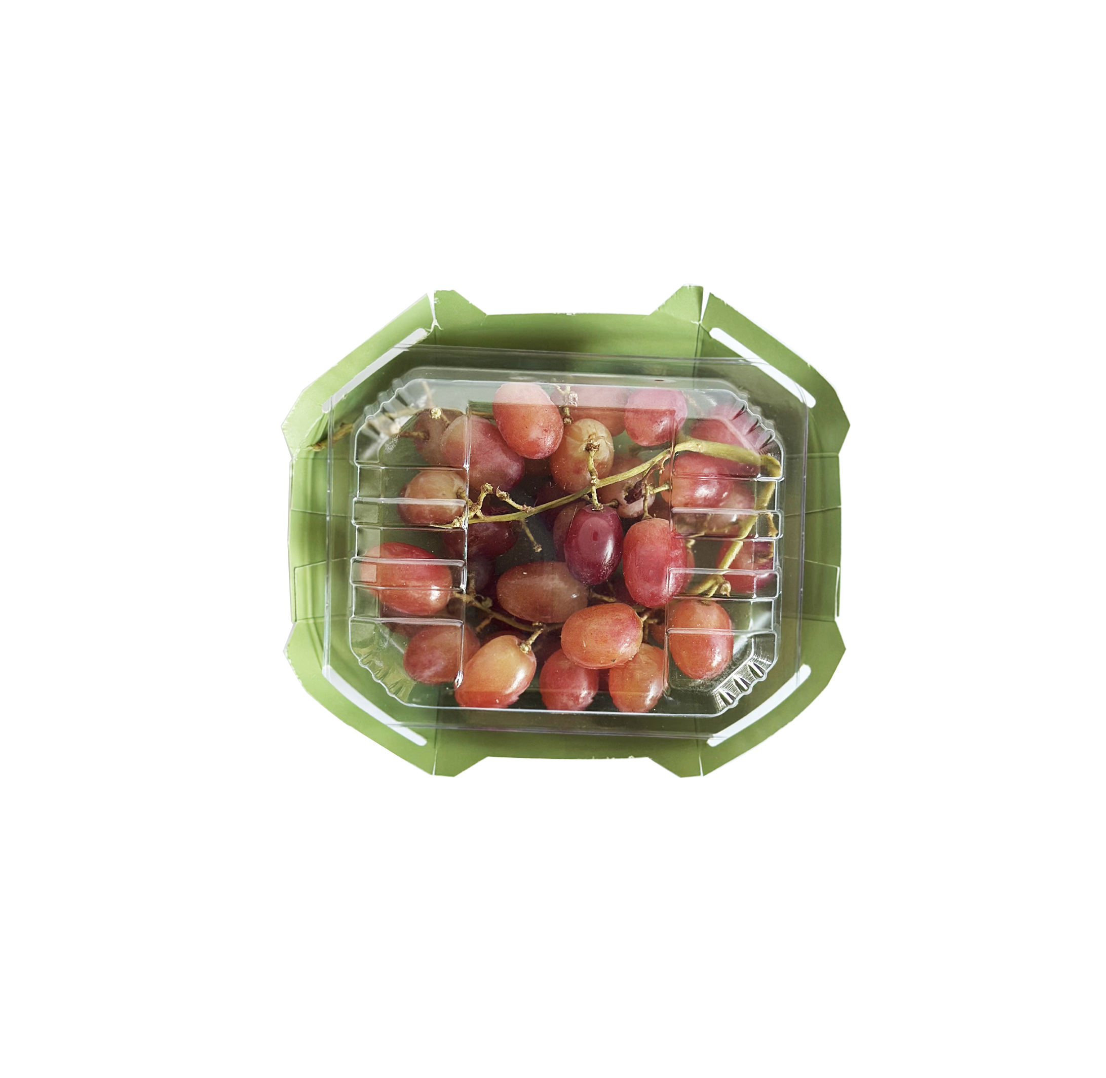 Paper Tray with Clear Lid