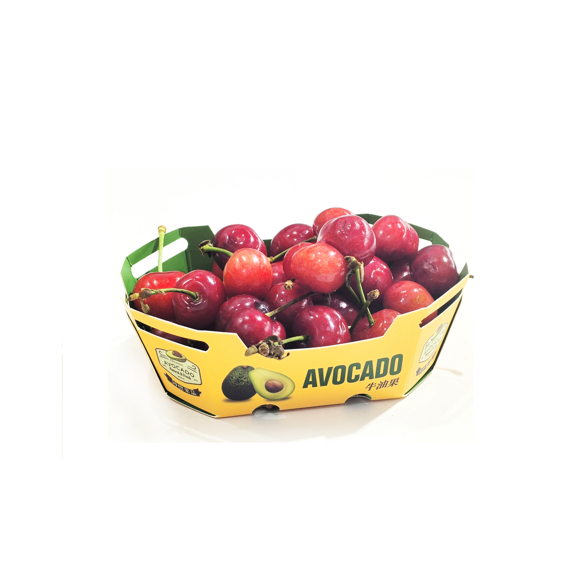 Paper Tray with Clear Lid